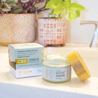 Renew Cream | Regular Formula