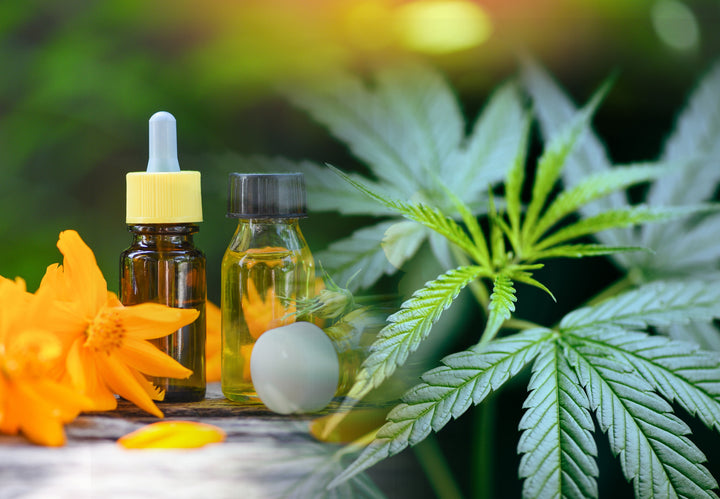 Why Do People Have Misconceptions About CBD Products?