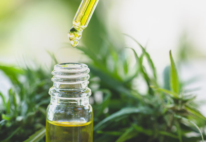 How Is CBD Extracted from the Hemp Plants?
